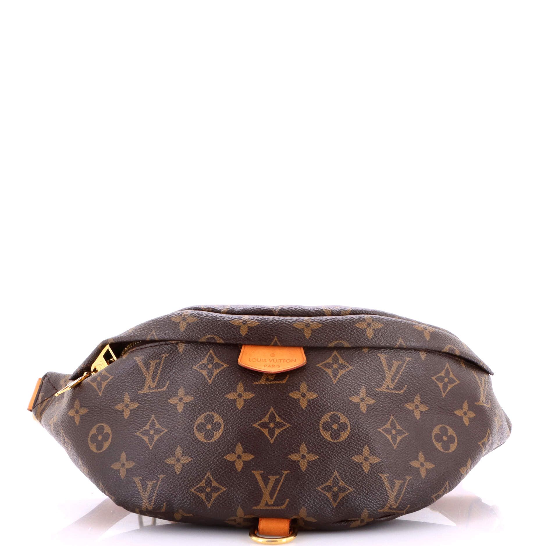 Louis Vuitton Bum Bag Size ONE SIZE - 1 Thumbnail