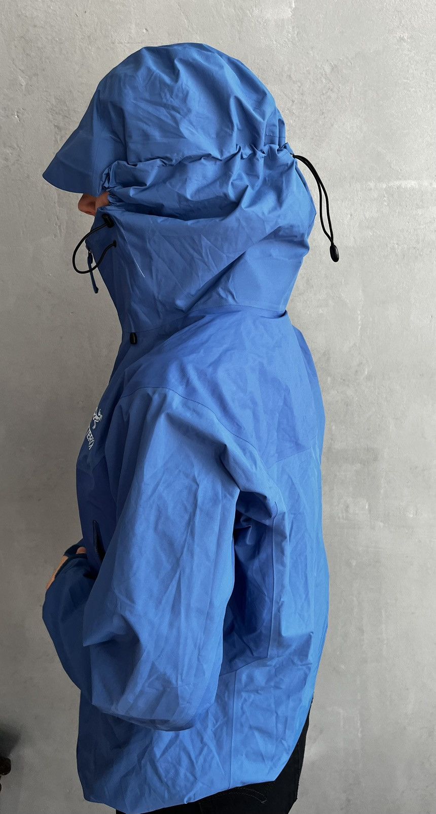 Arc'teryx × Goretex Arctery Beta SL Hybrid Gore Tex Hooded Jacket Womens Size L / US 10 / IT 46 - 3 Thumbnail