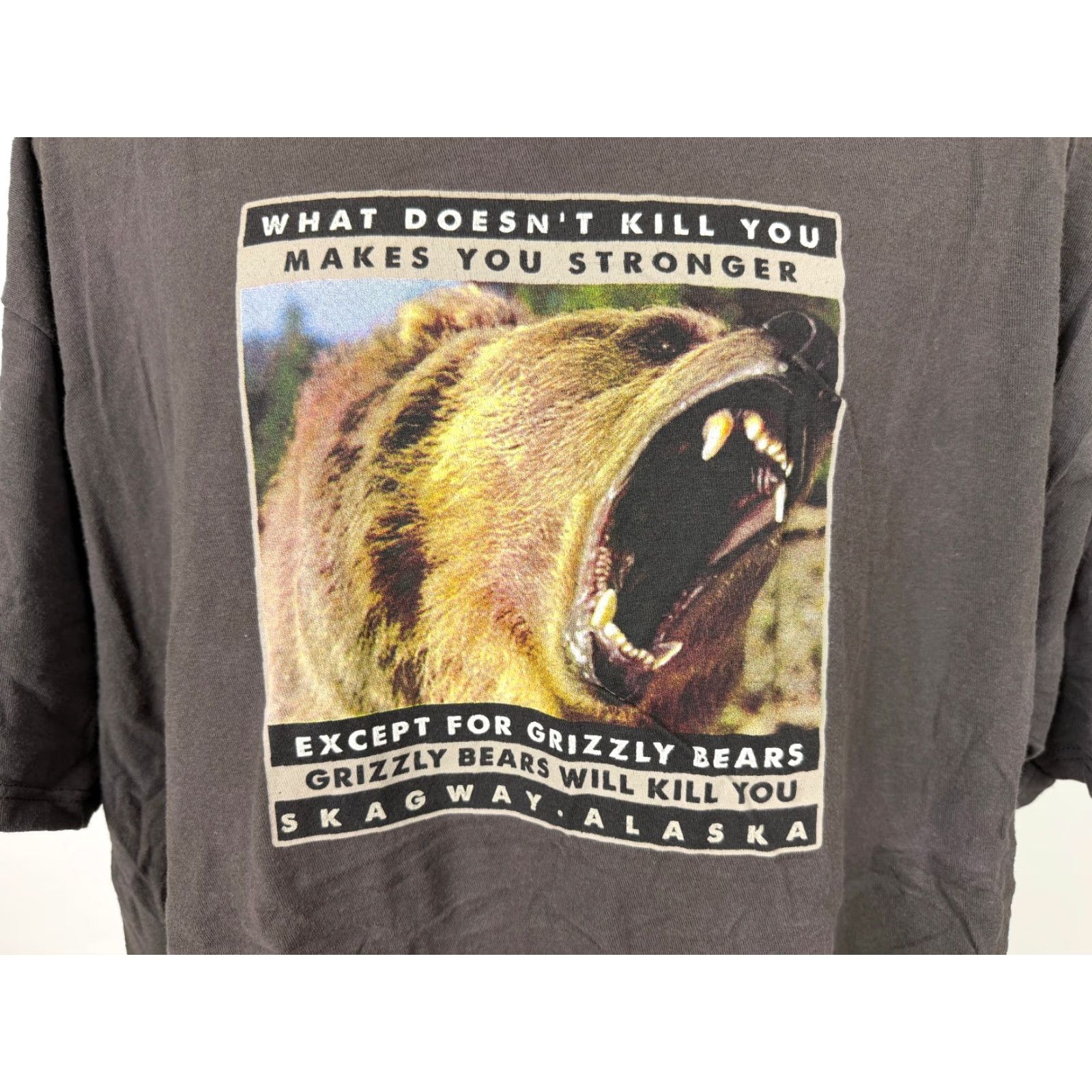 Vintage VINTAGE The Duck Co. Shirt Men's XXL Skagway Alaska Brown Bear Nature Outdoors Graphic Print T-Shirt 2000s Y2K Animals Hipster Funny 90s? Size US XXL / EU 58 / 5 - 3 Thumbnail