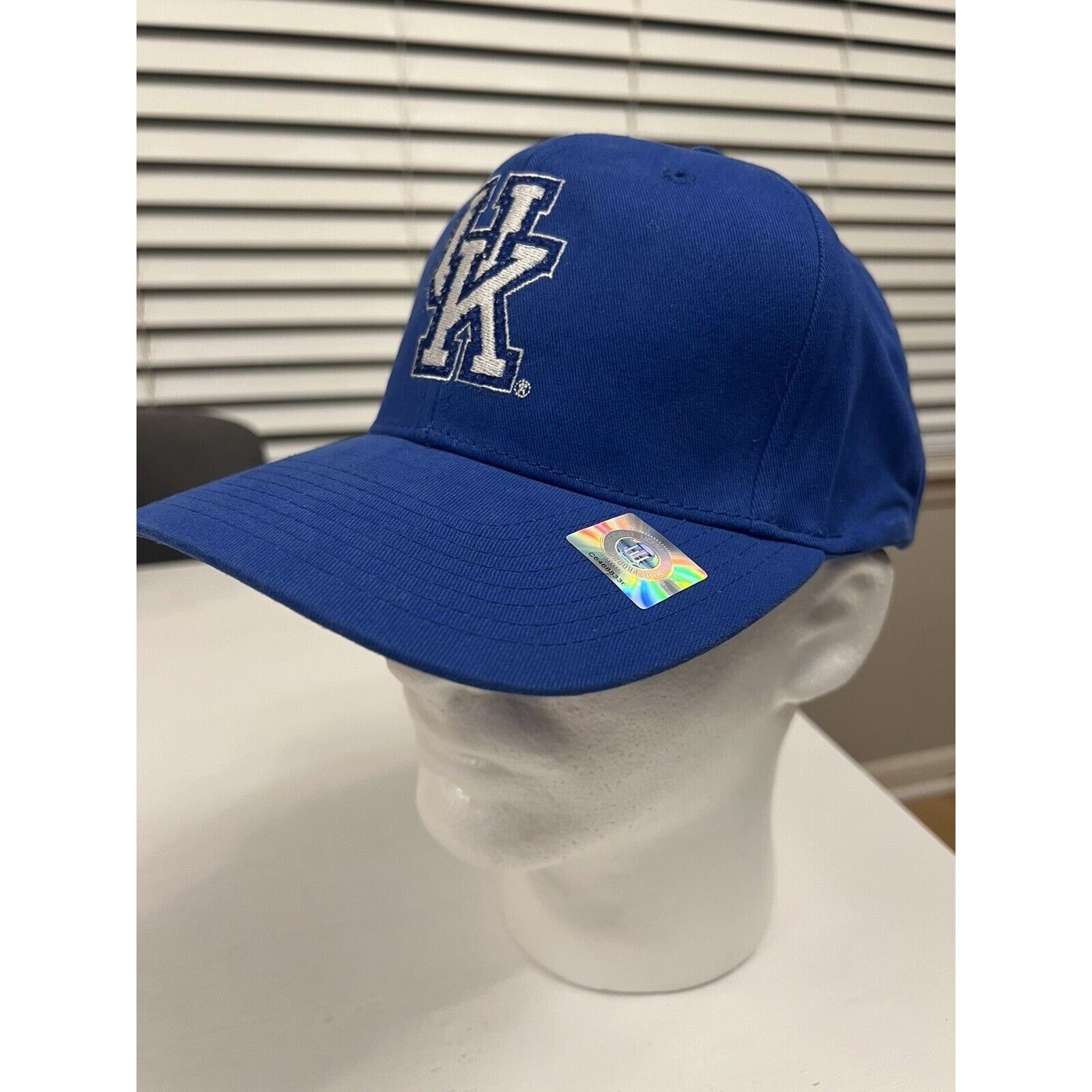 & Other Stories University of Kentucky Wildcats Fitted M-L Hat Dad Unisex Size ONE SIZE - 1 Thumbnail