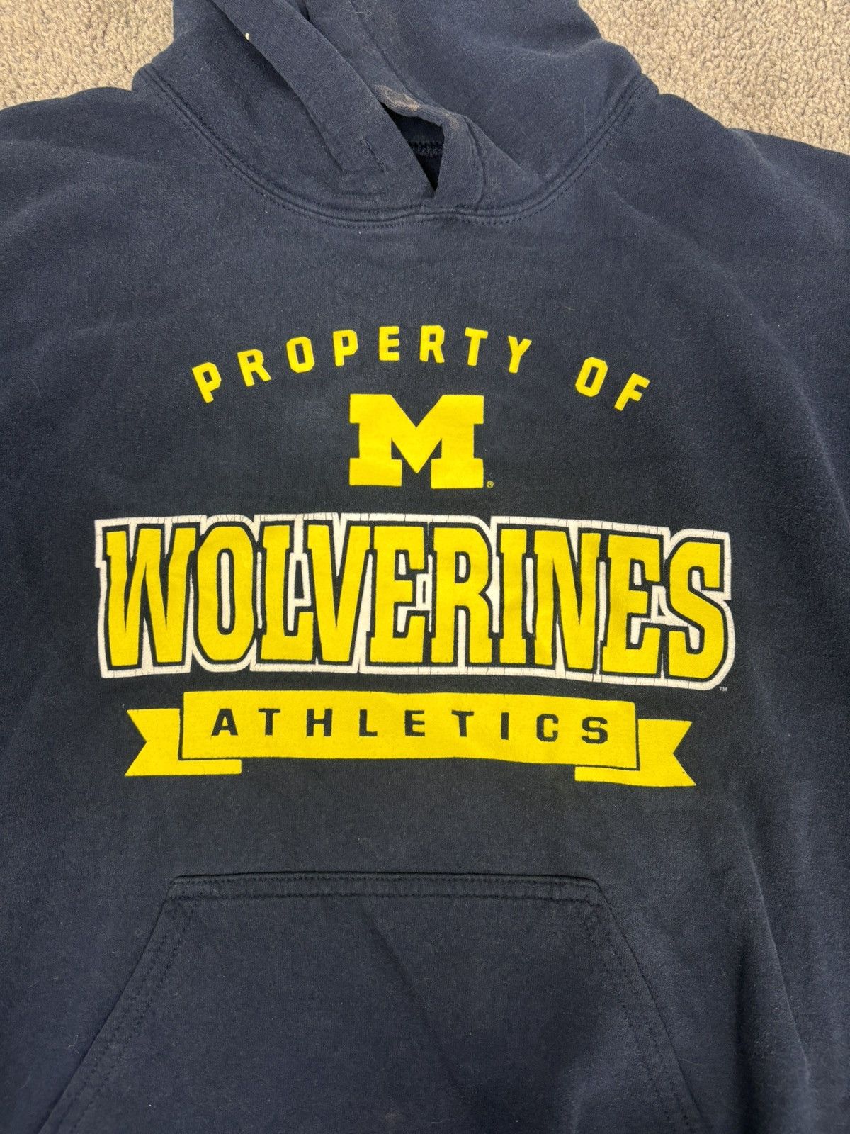 Gildan Y2k u of m property of wolverines maize and blue hoodie Size US M / EU 48-50 / 2 - 3 Thumbnail