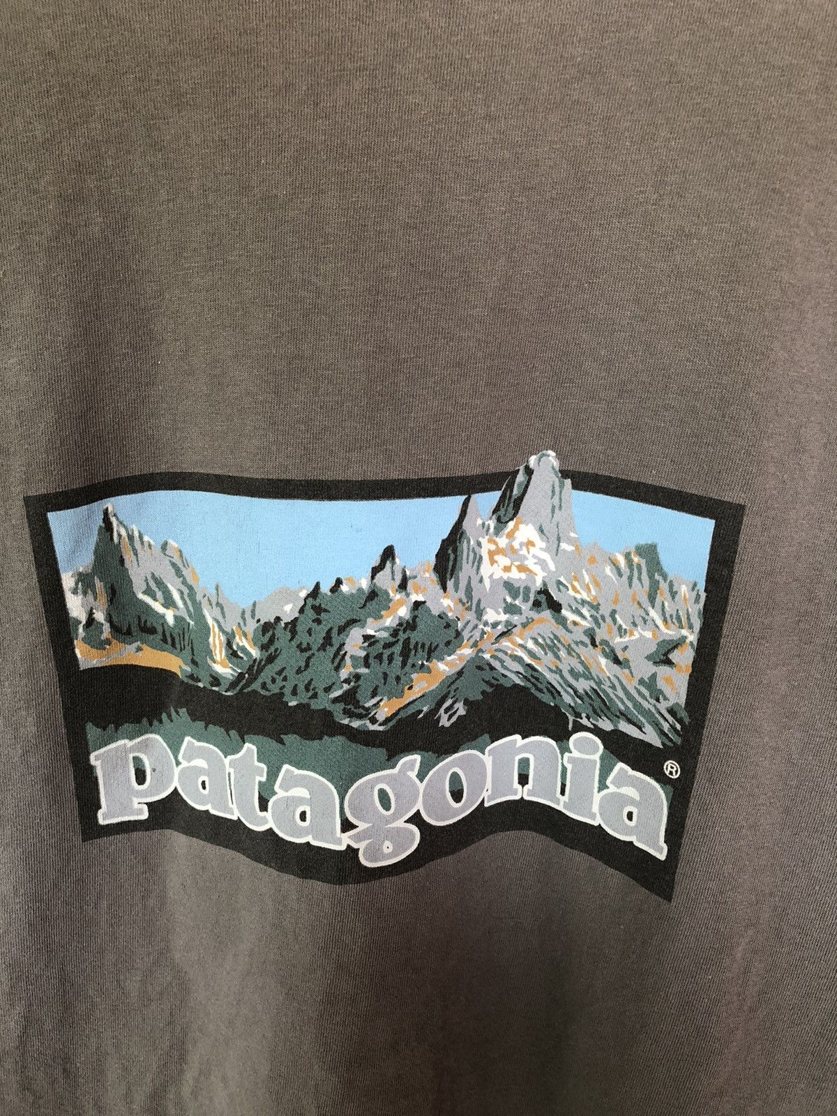 Patagonia Vintage 90's Patagonia Shirt Tee Size US L / EU 52-54 / 3 - 9 Thumbnail