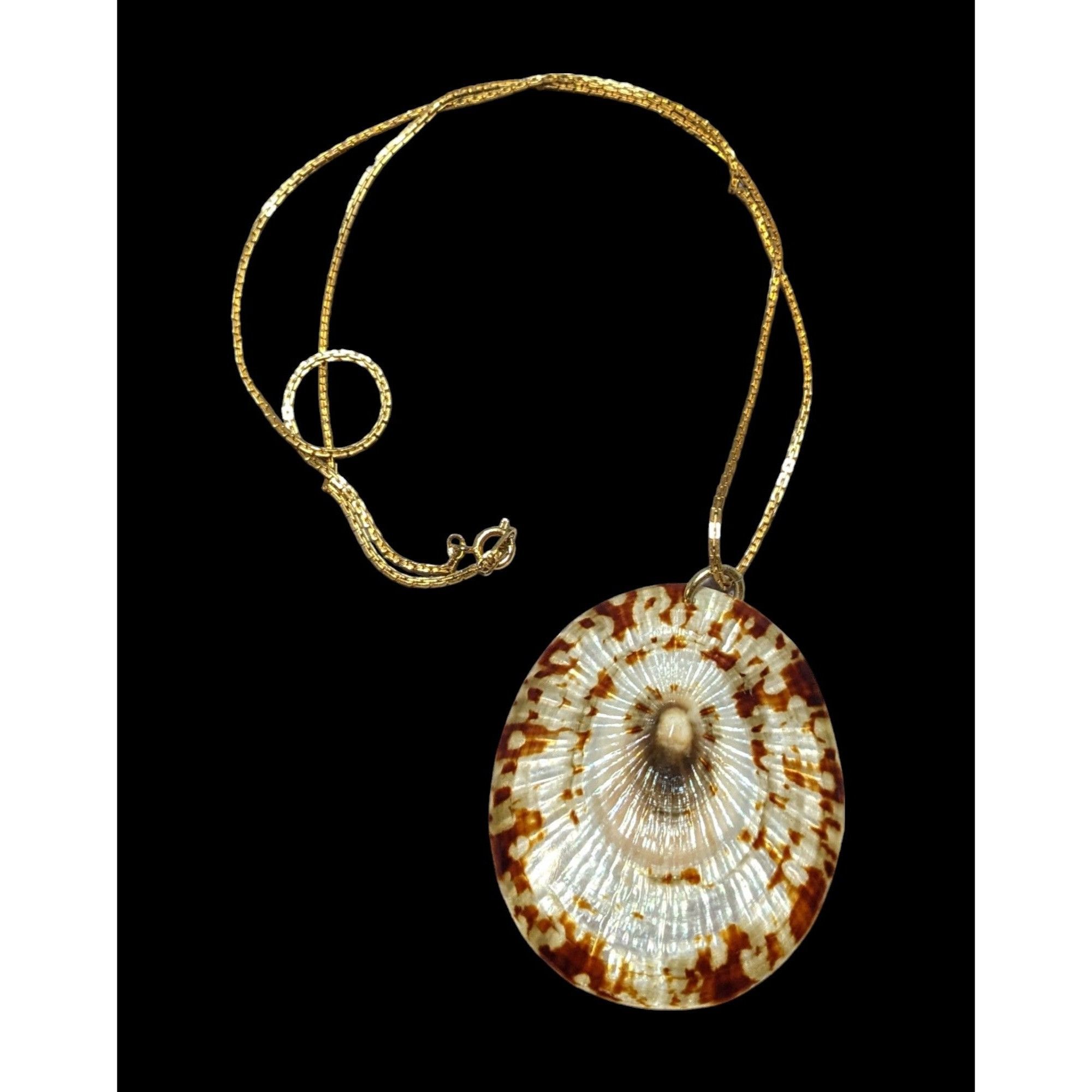 Other Limpet Shell Pendant Necklace Size ONE SIZE - 1 Thumbnail