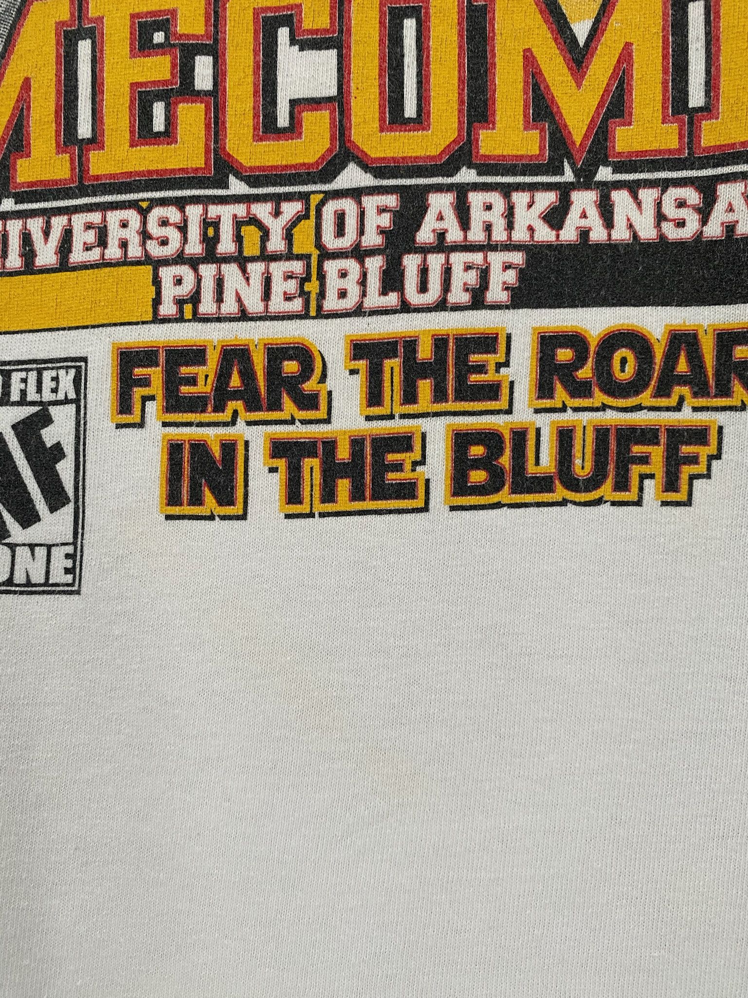 Gildan University Of Arkansas Pine Bluff HBCU Homecoming T-Shirt XL Size US XL / EU 56 / 4 - 7 Thumbnail