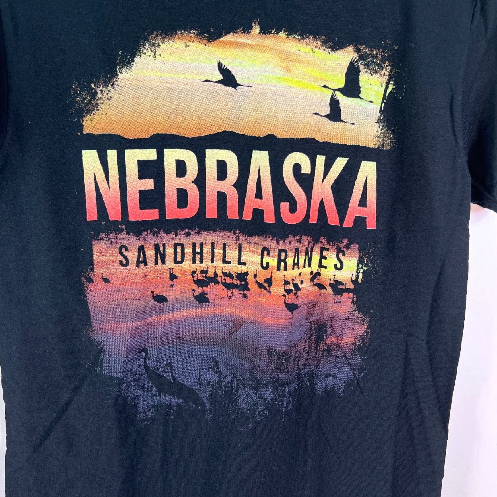 Gildan Gildan Nebraska Sandhill Cranes Graphic Black T Shirt Mens Small Dry Blend Crew Neck Short Sleeve 50% Cotton 50% Polyester Size US S / EU 44-46 / 1 - 2 Thumbnail