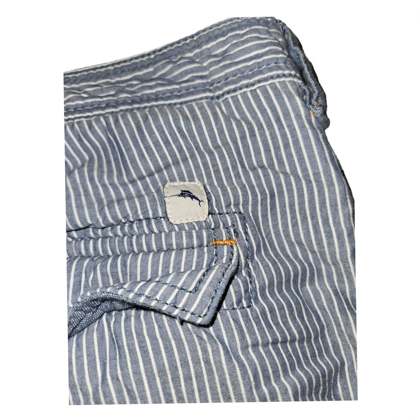 Tommy Bahama Tommy Bahama Shorts Mens 42 Blue Chino Men Striped Slash Pockets Casual Vacation Size US 42 / EU 58 - 7 Thumbnail