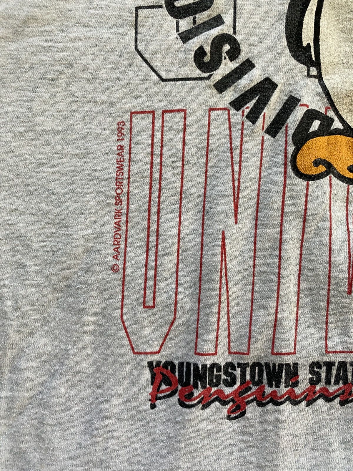 NCAA Vintage ‘93 90s Youngstown Football Champs Single Stitch Tee Size US XL / EU 56 / 4 - 9 Thumbnail