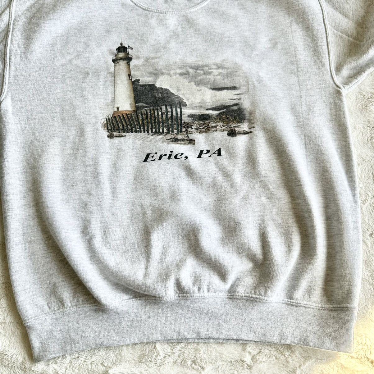 Gildan Vintage Lake Erie Pennsylvania Crewneck Sweatshirt Mens M Size US M / EU 48-50 / 2 - 4 Thumbnail