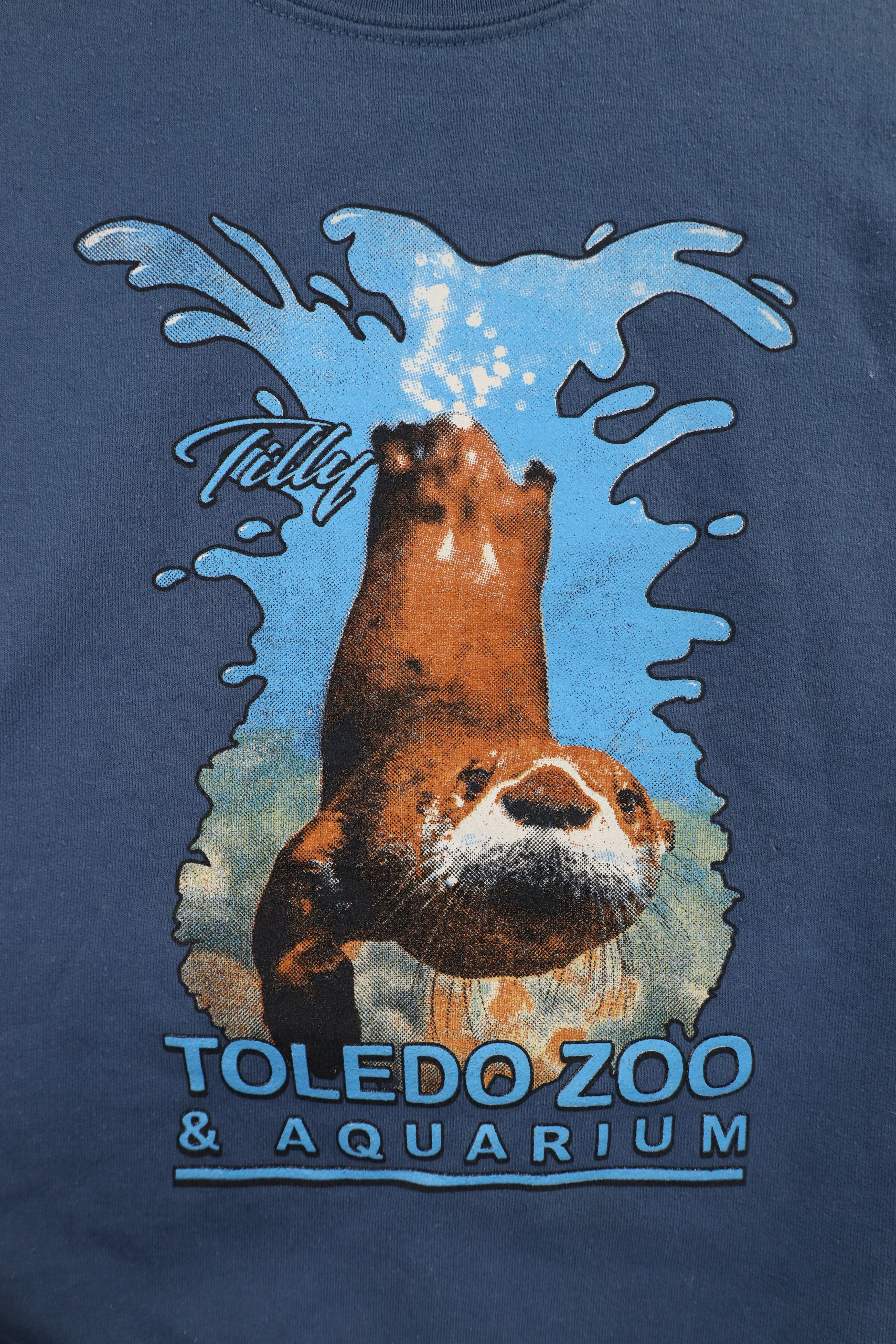 Vintage Vintage Spell Toledo Zoo and Aquarium Sea Otter Sweatshirt Size US S / EU 44-46 / 1 - 4 Thumbnail