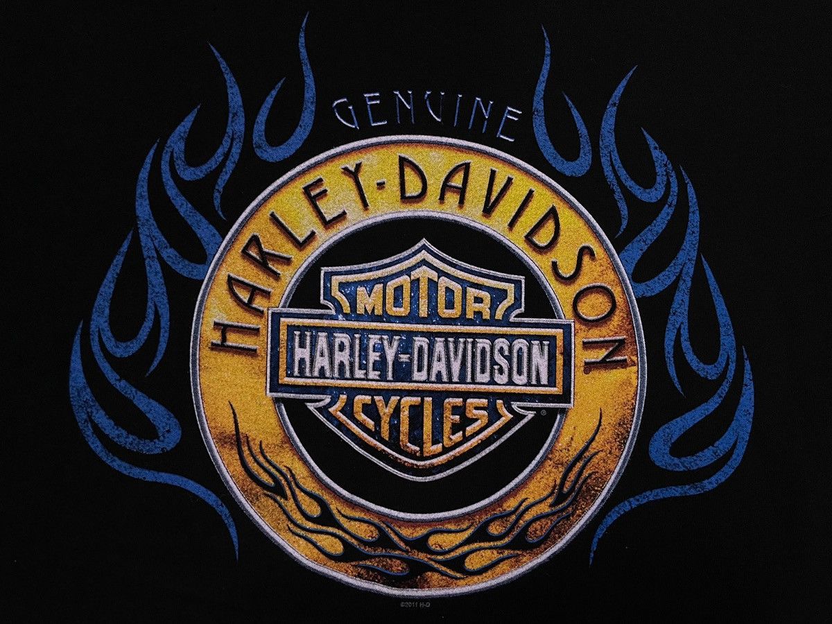 Harley Davidson Harley Davidson flame Mesa Arizona tee Size US L / EU 52-54 / 3 - 3 Thumbnail