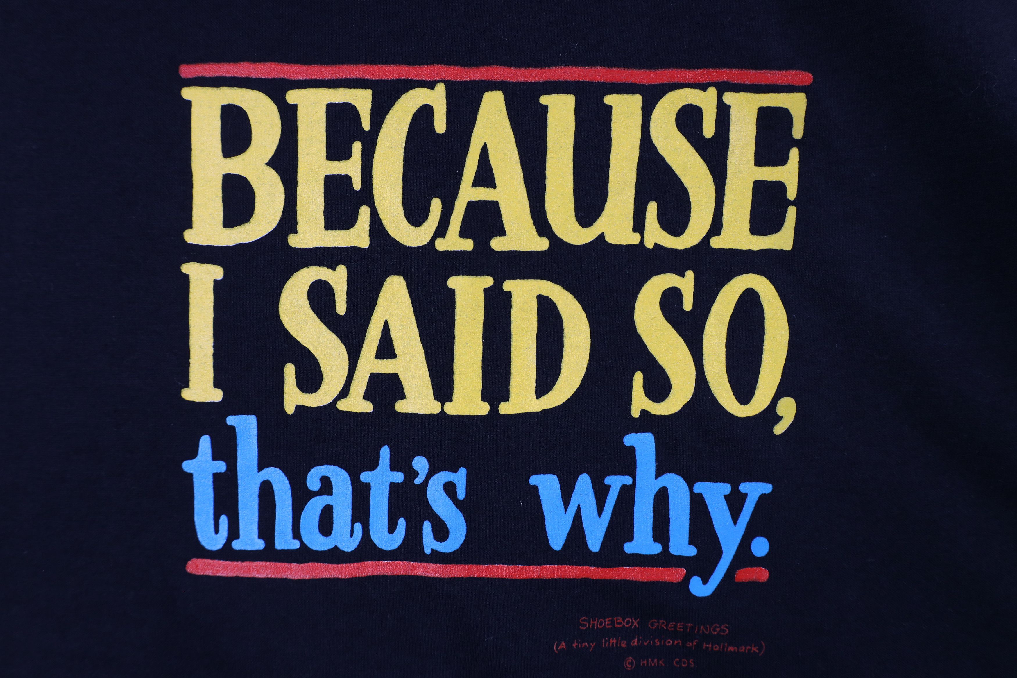 Vintage Vintage 90s Because I Said So That's Why T-Shirt USA Size US XL / EU 56 / 4 - 4 Thumbnail