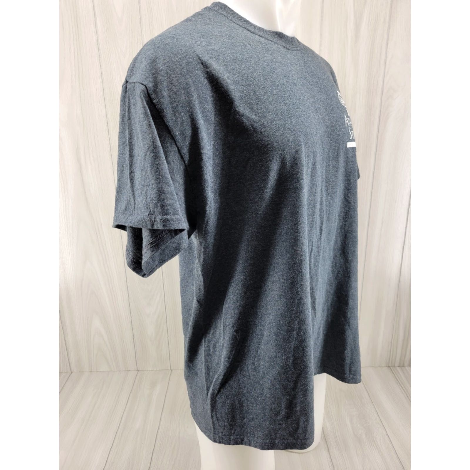 Gildan University of Athens Alabama T Shirt Men’s XL Gray Size US XL / EU 56 / 4 - 5 Thumbnail