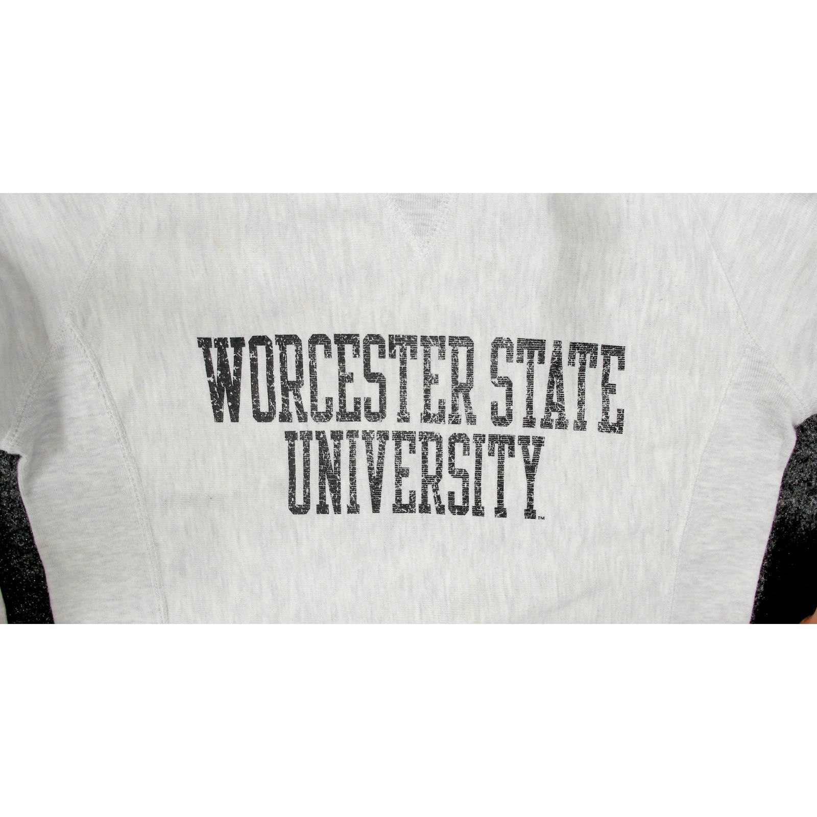 Champion Champion Reverse Weave Worcester State Raglan Sweatshirt Size M / US 6-8 / IT 42-44 - 12 Thumbnail