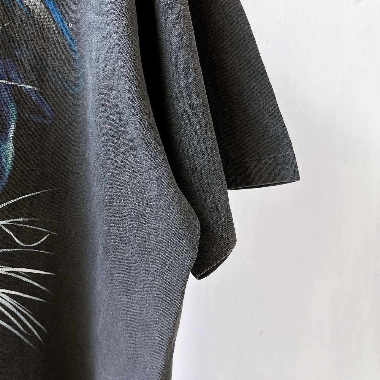 Salem Sportswear × Vintage 90s Carolina Panthers NFL t-shirt/ XL Size US XL / EU 56 / 4 - 6 Thumbnail