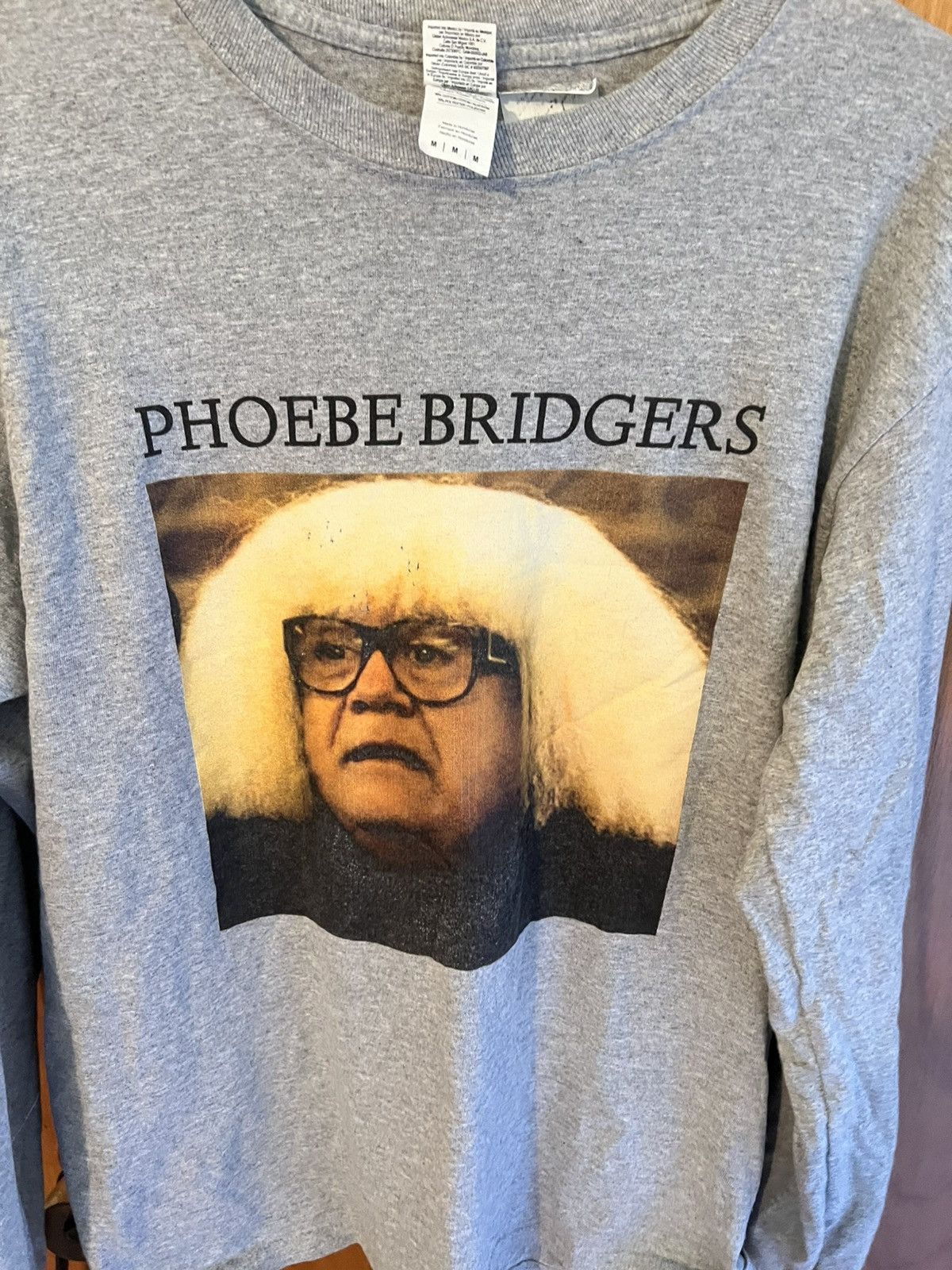 Gildan Phoebe Bridgers/Danny DeVito longsleeve, grey Size US M / EU 48-50 / 2 - 4 Thumbnail