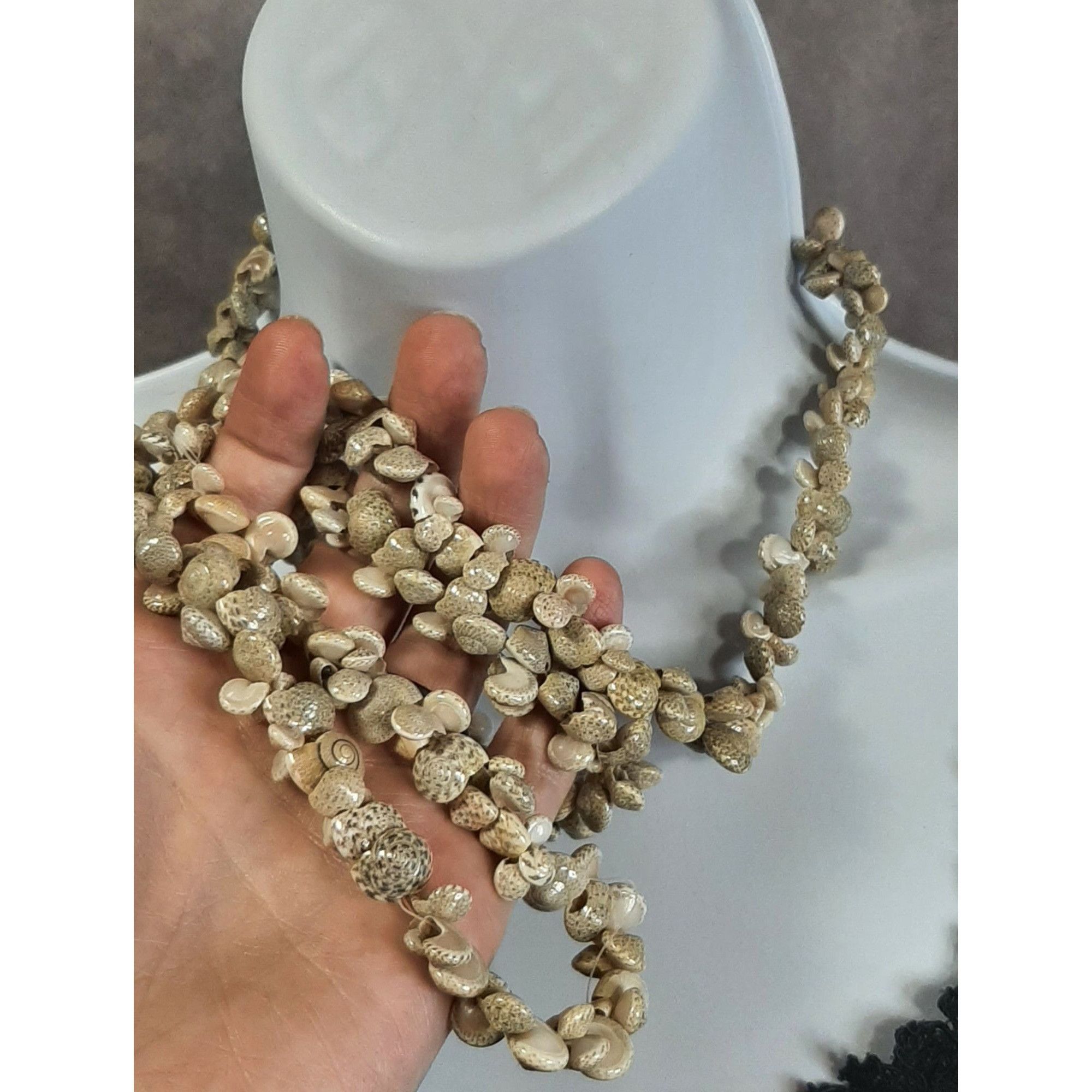 Other Beachy Braided Sundial Seashell Necklace Size ONE SIZE - 2 Thumbnail