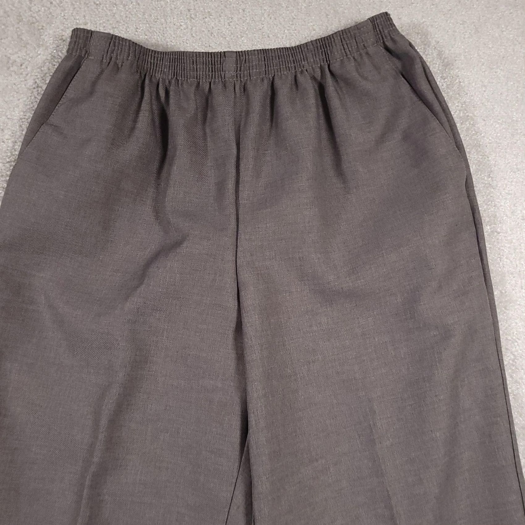 Vintage Alfred Dunner Pants Womens 10 Gray Straight Leg Pull On Pockets Workwear Career Dress Pants Slimline Size 32" / US 10 / IT 46 - 3 Thumbnail