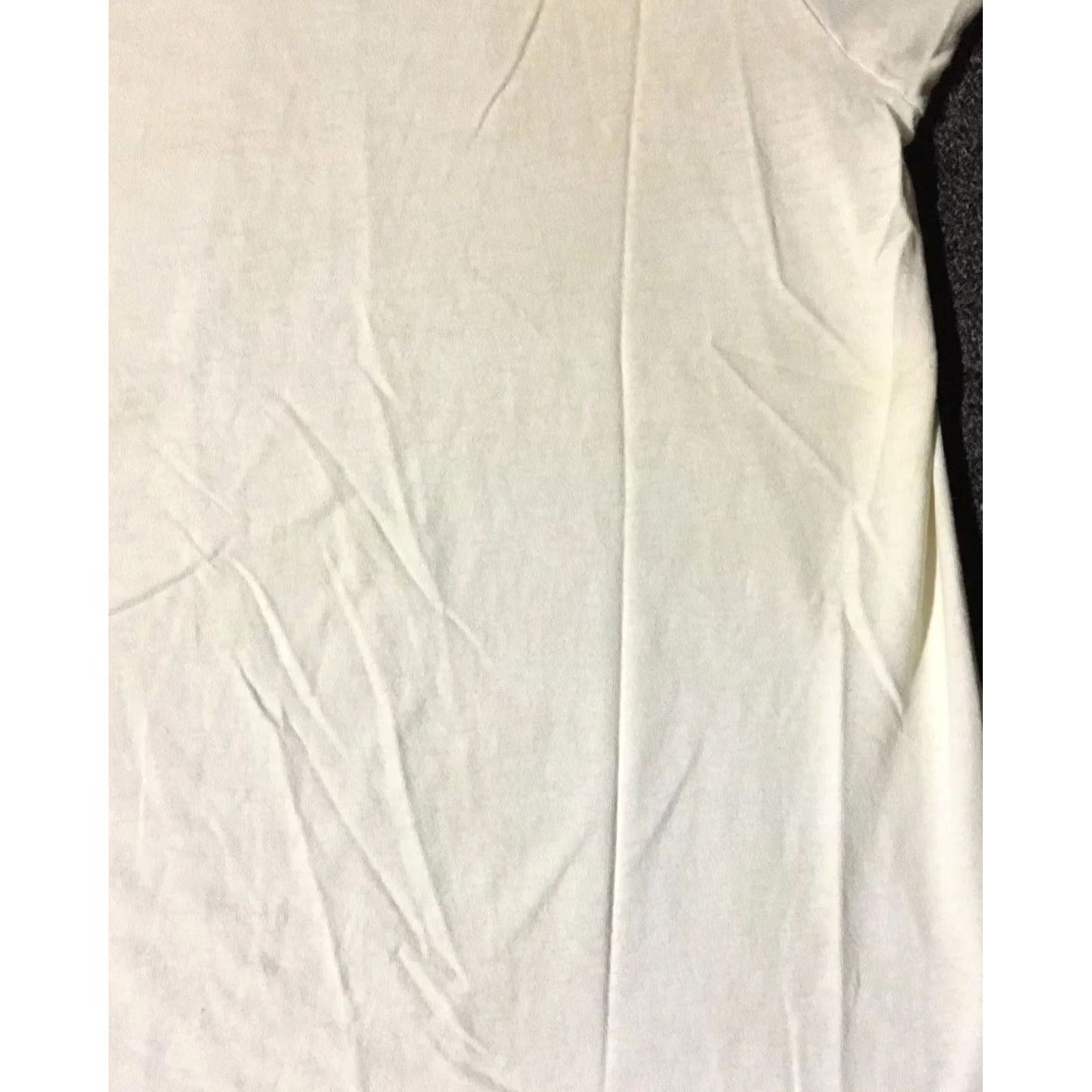 Hanes VINTAGE Hanes T-Shirt L White Distressed V-Neck 90s Grunge Punk Bike Surf Skate Mens Size US L / EU 52-54 / 3 - 6 Thumbnail