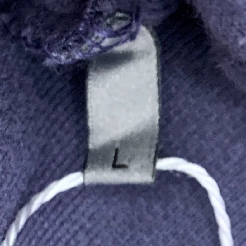 Dior Dior Purple logo letter embroidery cotton hooded drawstring Size US L / EU 52-54 / 3 - 8 Thumbnail