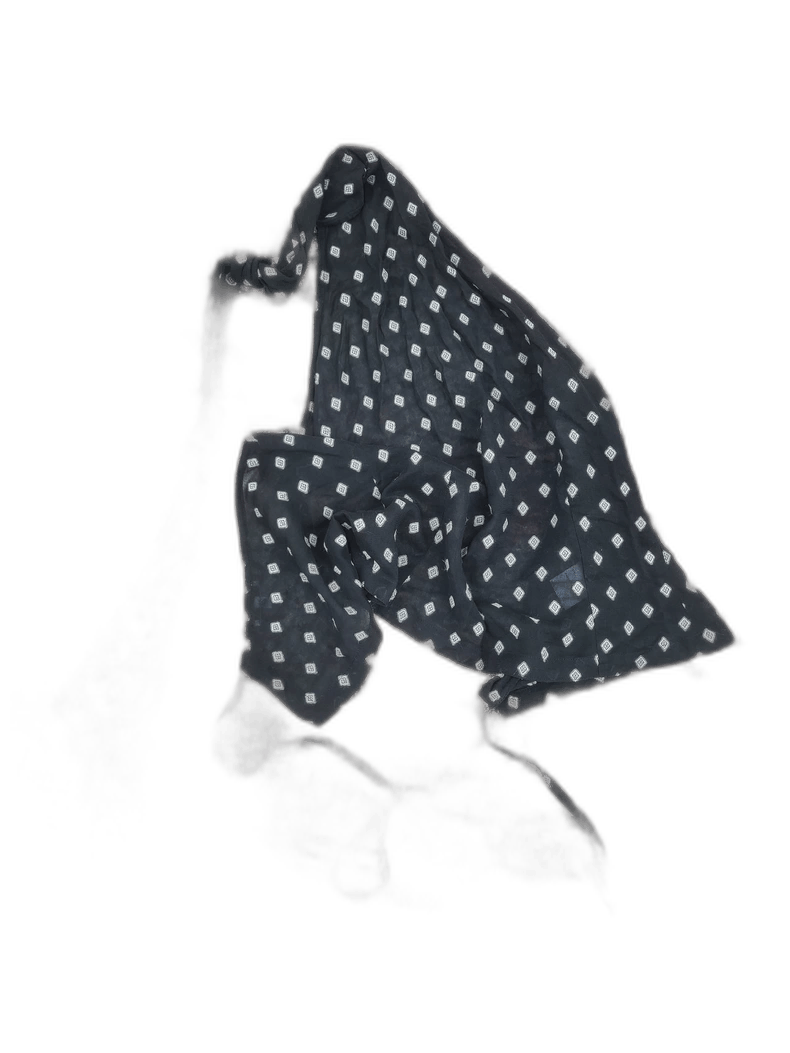 Ann Demeulemeester Ann Demeulemeester Silk Blend Scarf Size ONE SIZE - 1 Thumbnail