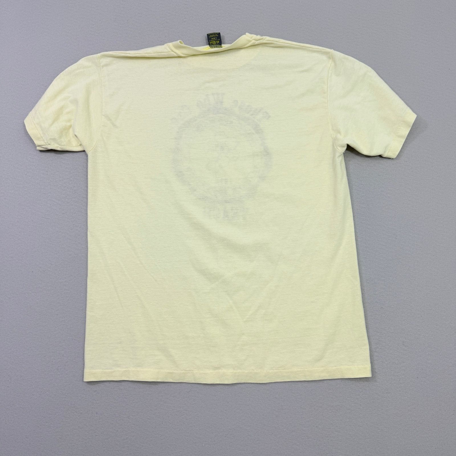 Vintage Vintage Jerzees Spring Arbor College Shirt Large Paper Thin Size US L / EU 52-54 / 3 - 7 Thumbnail