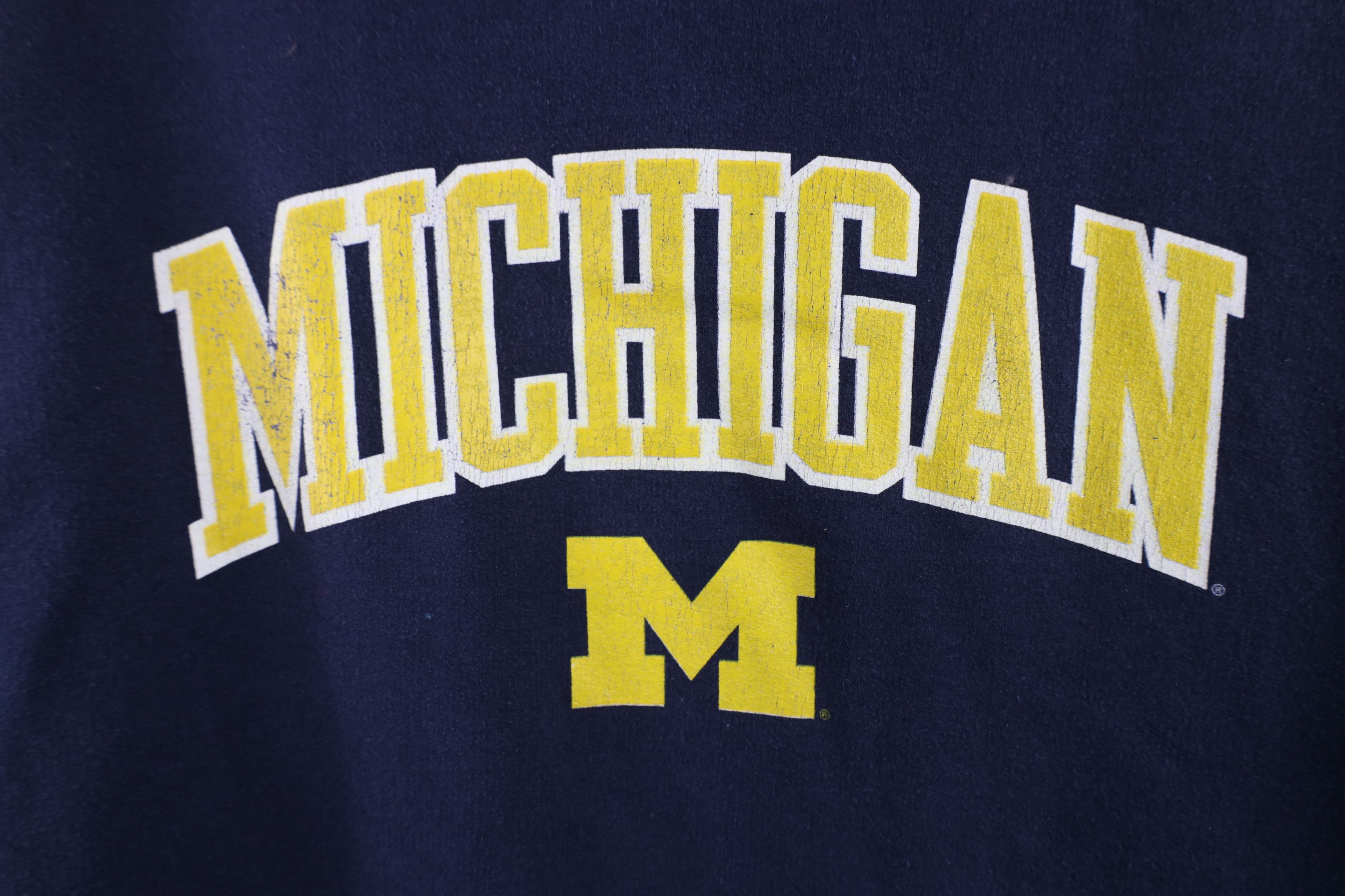 Champion Vintage Champion Spell Out University of Michigan Hoodie Size US L / EU 52-54 / 3 - 5 Thumbnail