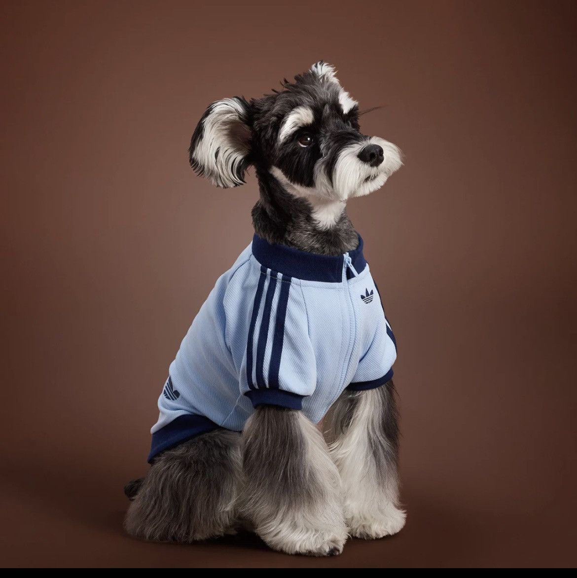 Adidas Adidas Originals Pet Tracksuit Zip-Up Jacket Dogs Cats Size ONE SIZE - 2 Thumbnail
