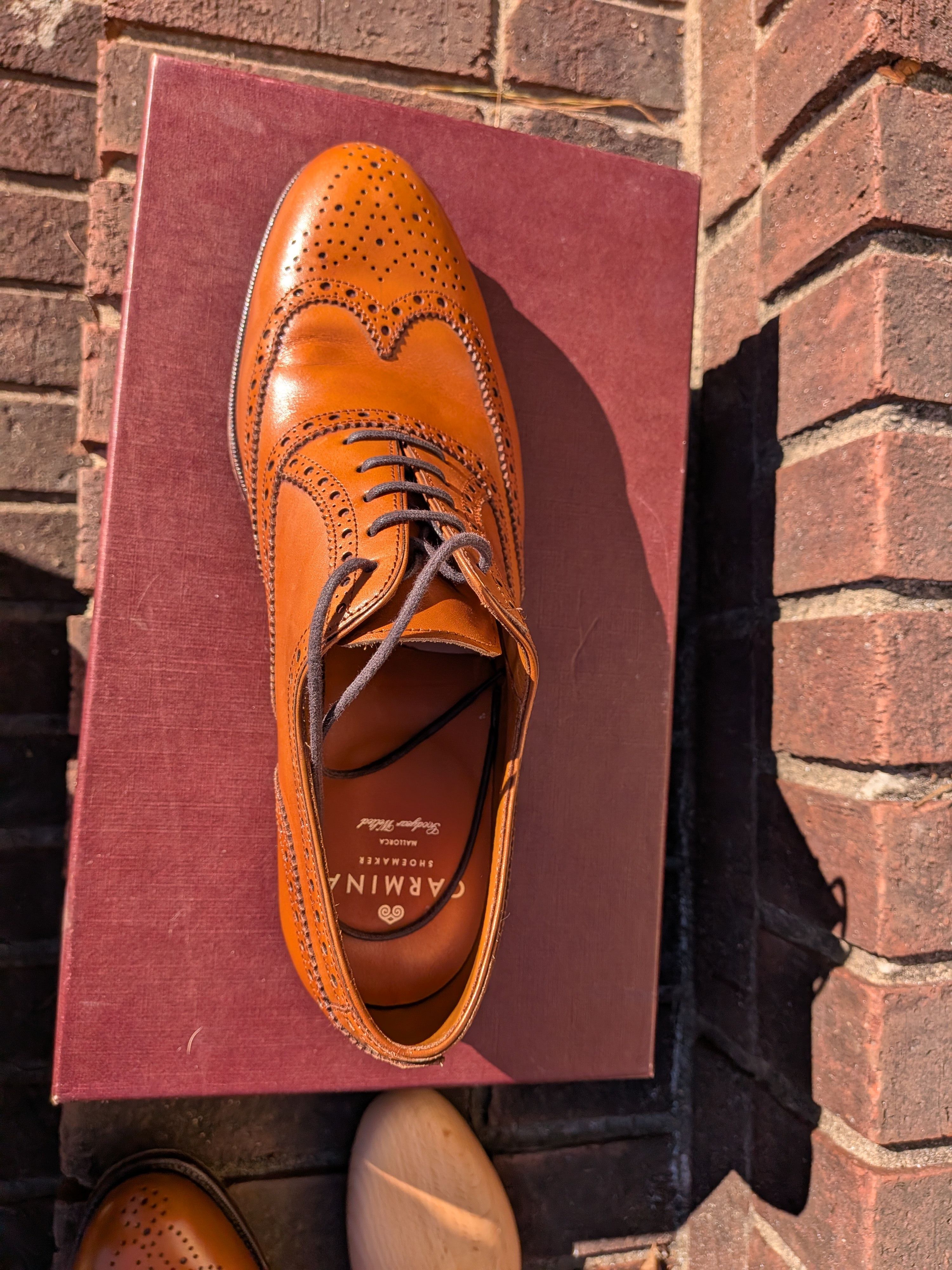 Carmina Carmina Wingtip Oxfords Size US 8 / EU 41 - 12 Thumbnail