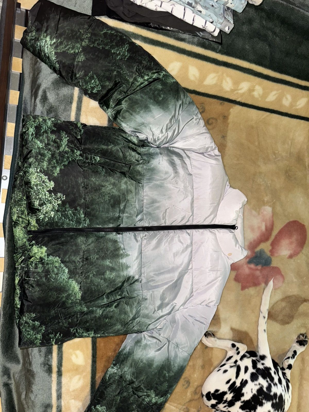 Bravest Studios Bravest Studios Forest Green Puffer Jacket Size US XL / EU 56 / 4 - 1 Thumbnail