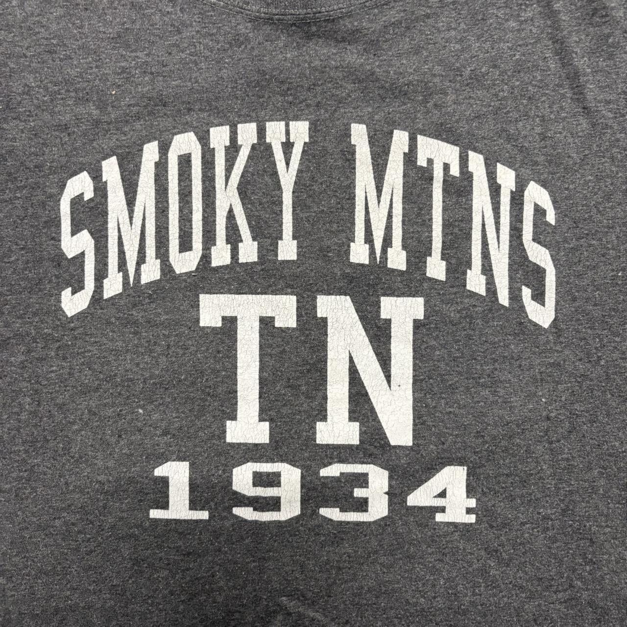 Vintage Crazy Vintage Y2K/2000s Smokey Mountains Tennessee Grey Graphic Tee! Size US L / EU 52-54 / 3 - 2 Thumbnail