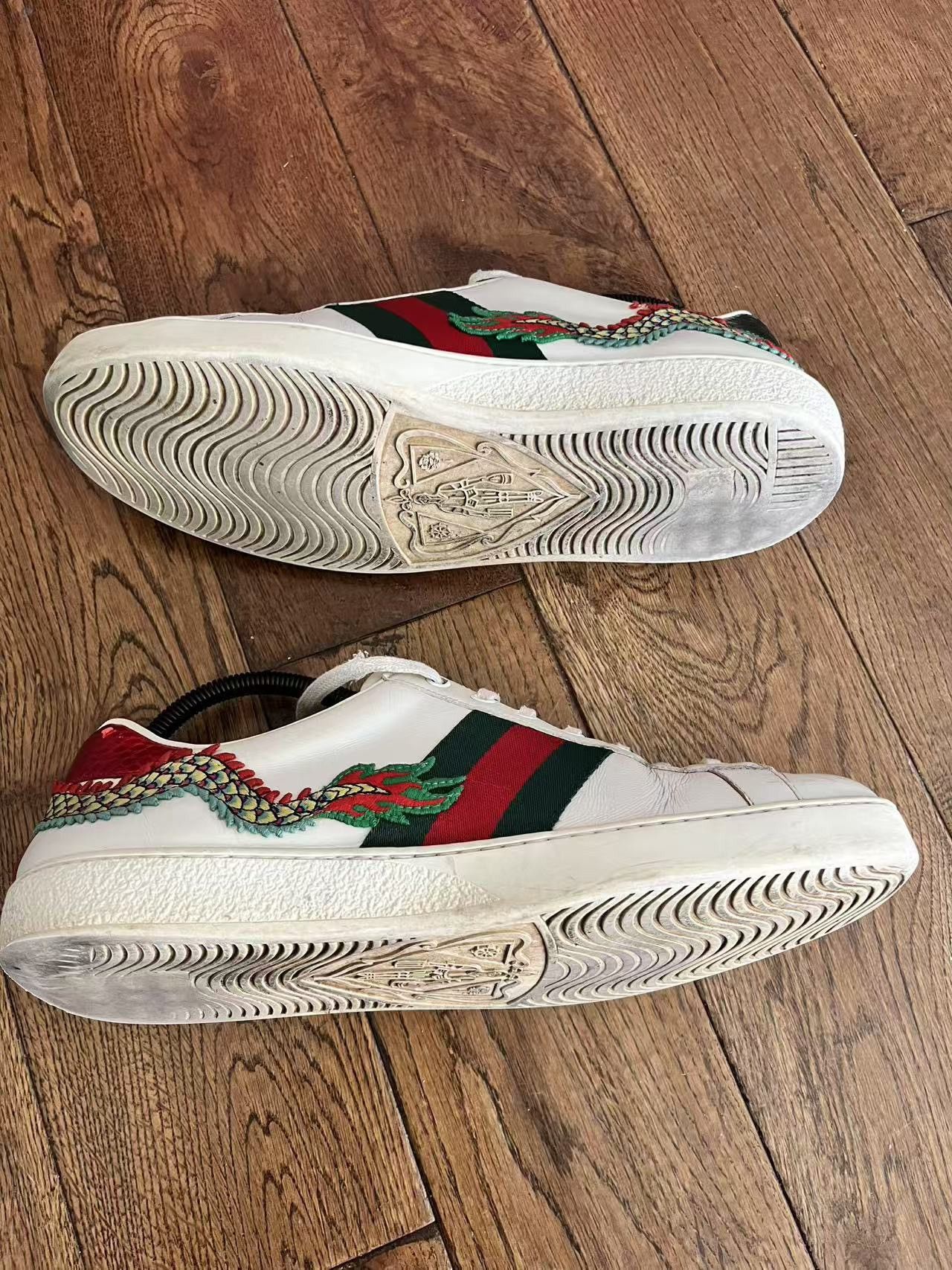 Gucci Gucci Dragon Ace Sneaker Size US 9 / EU 42 - 5 Thumbnail