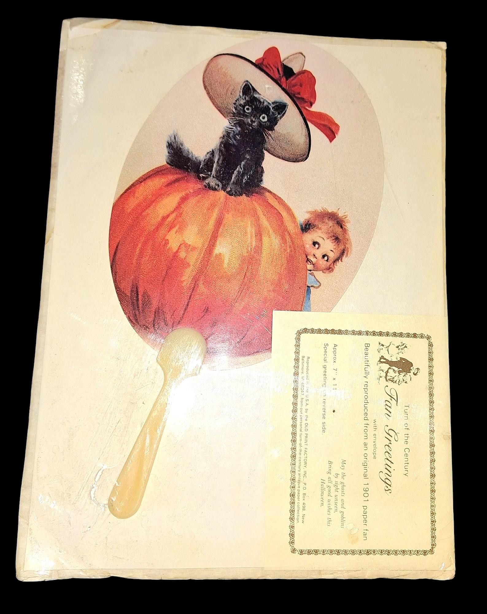 Designer Vtg 1901 Turn of the Century "Fan Greetings" Reproduction Size ONE SIZE - 3 Thumbnail