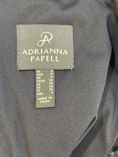 Adrianna Papell Floral Burnout Velvet Long Blouson Gown in Midnight Size XS / US 0-2 / IT 36-38 - 10 Thumbnail
