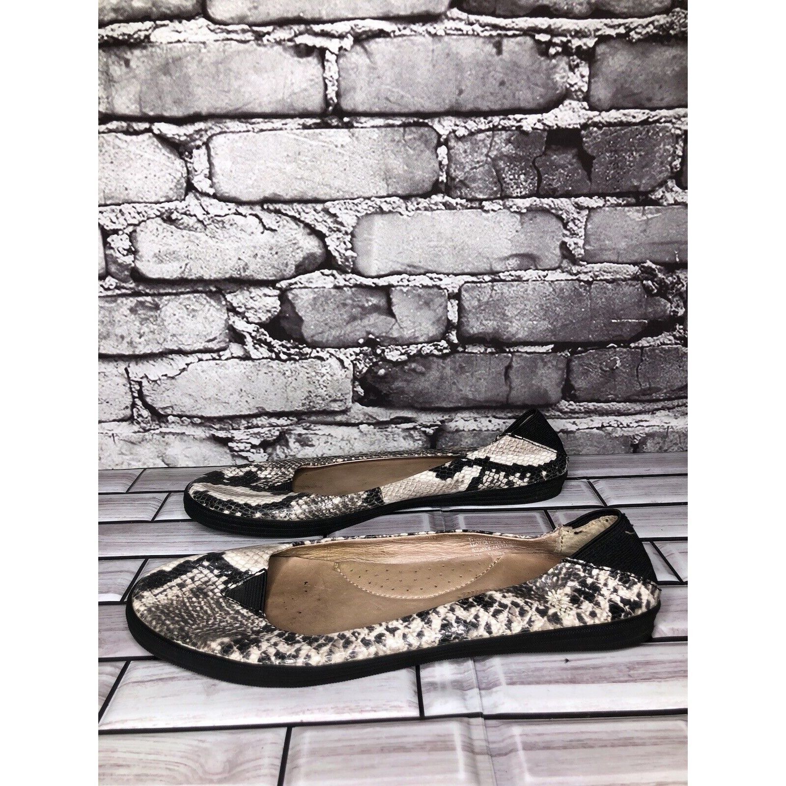 Tommy Bahama Tommy Bahama Odesa Ivory Black Leather Snake Skin Ballet Fla Size US 8 / IT 38 - 5 Thumbnail