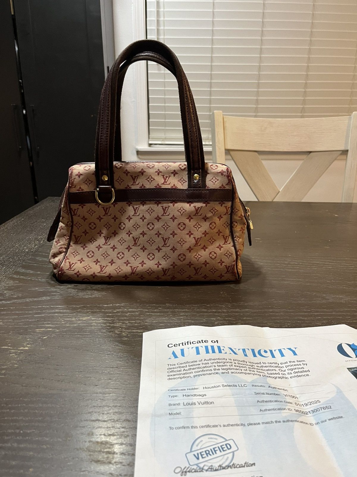Louis Vuitton Louis Vuitton Monogram Mini Josephine PM Size ONE SIZE - 1 Thumbnail