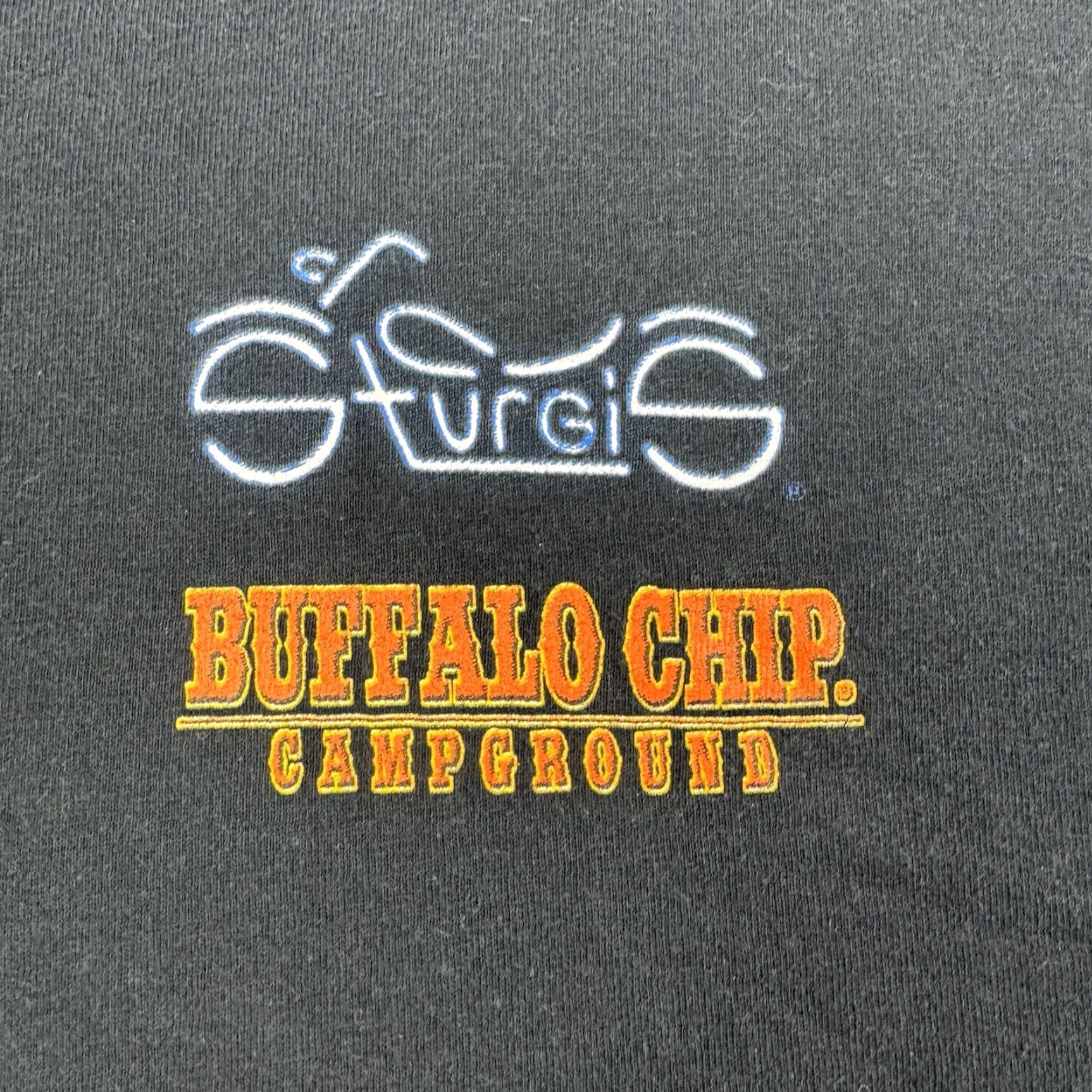 Gildan VINTAGE Buffalo Chip Campground T Shirt Adult Large Biker Rally 2006 Y2K Gildan Black Mens Shirt L Size US L / EU 52-54 / 3 - 5 Thumbnail