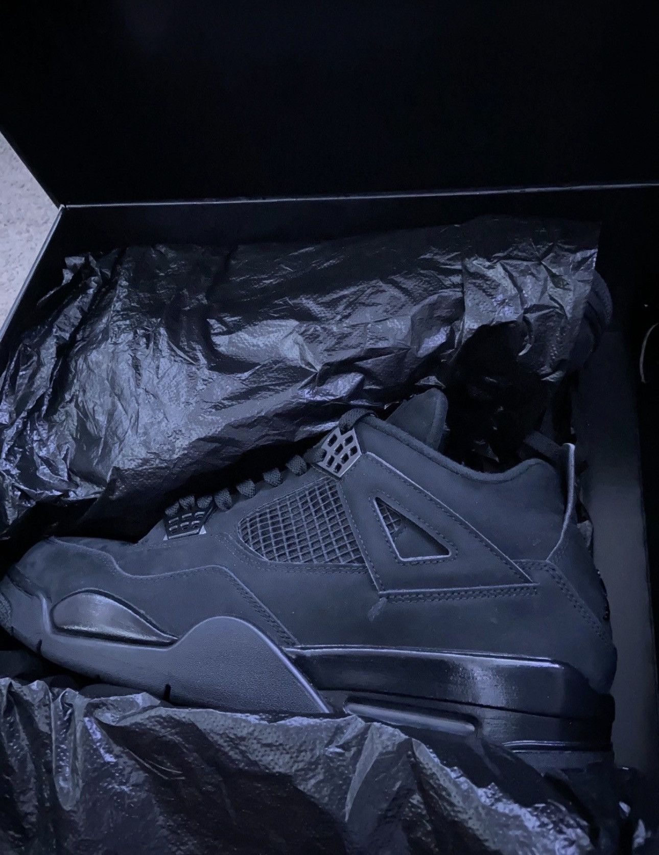 Jordan Brand Air Jordan 4 Retro Black Cat 2020 Size US 12 / EU 45 - 1 Thumbnail