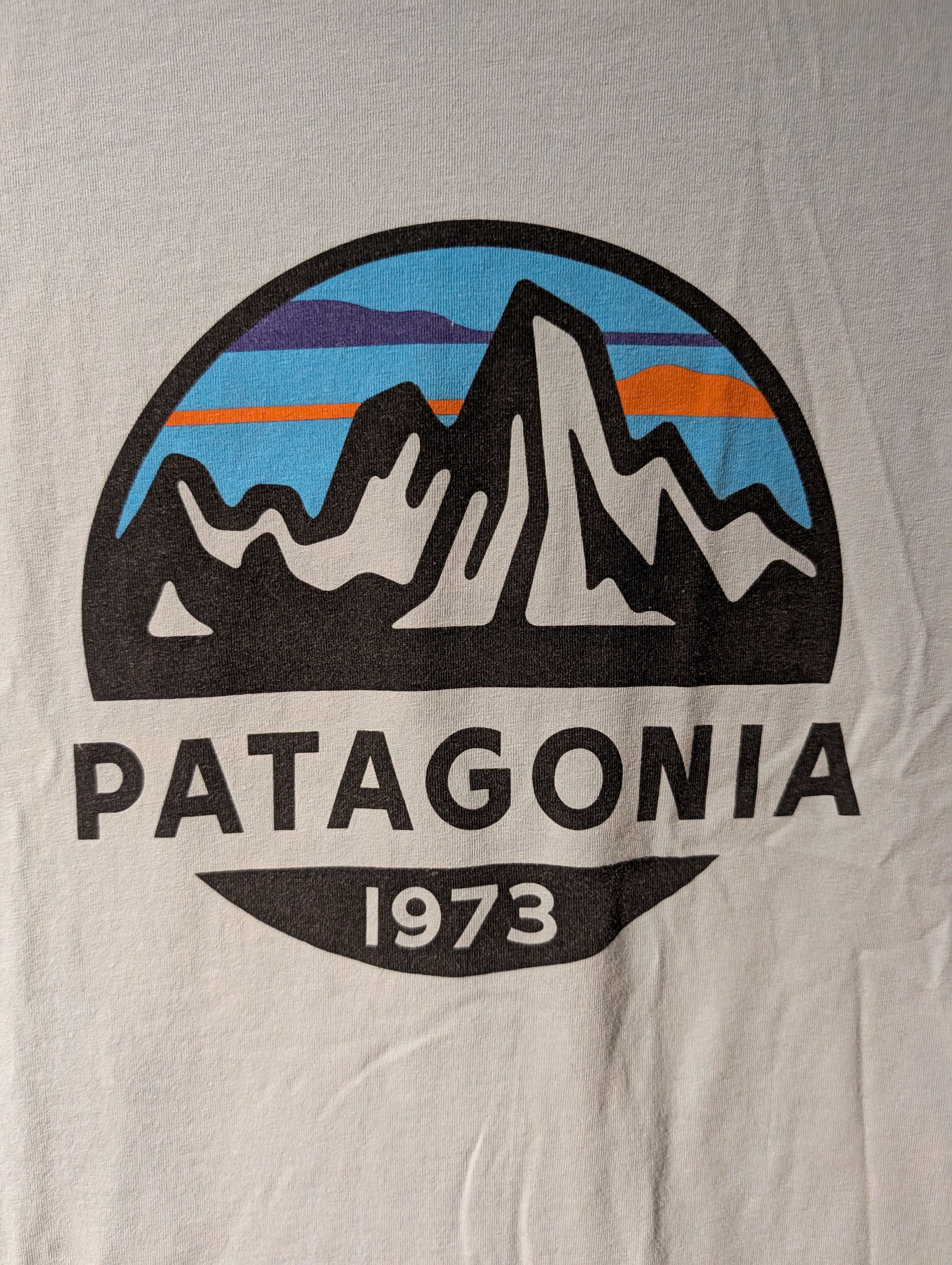 Patagonia Patagonia Regular Fit Medium Organic Cotton Logo T-Shirt Size US M / EU 48-50 / 2 - 2 Thumbnail
