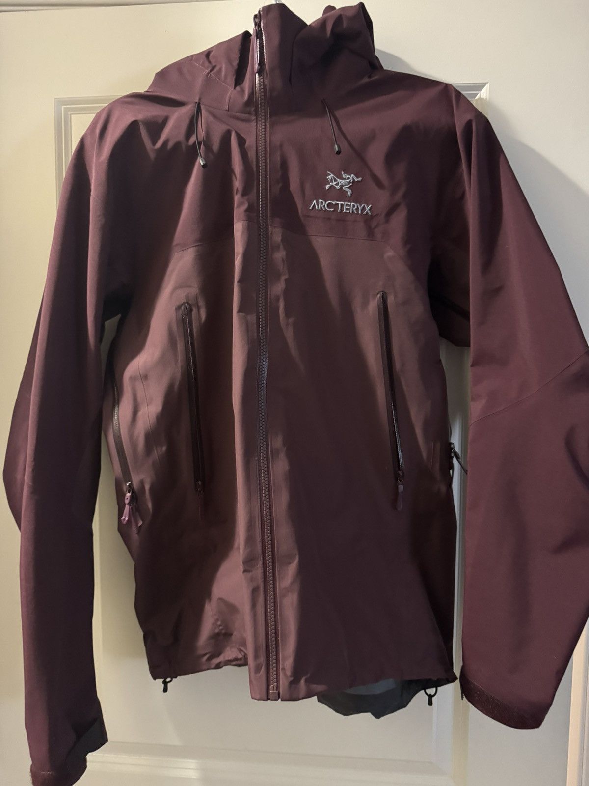Arc'teryx Beta AR Rhapsody Size US M / EU 48-50 / 2 - 1 Thumbnail