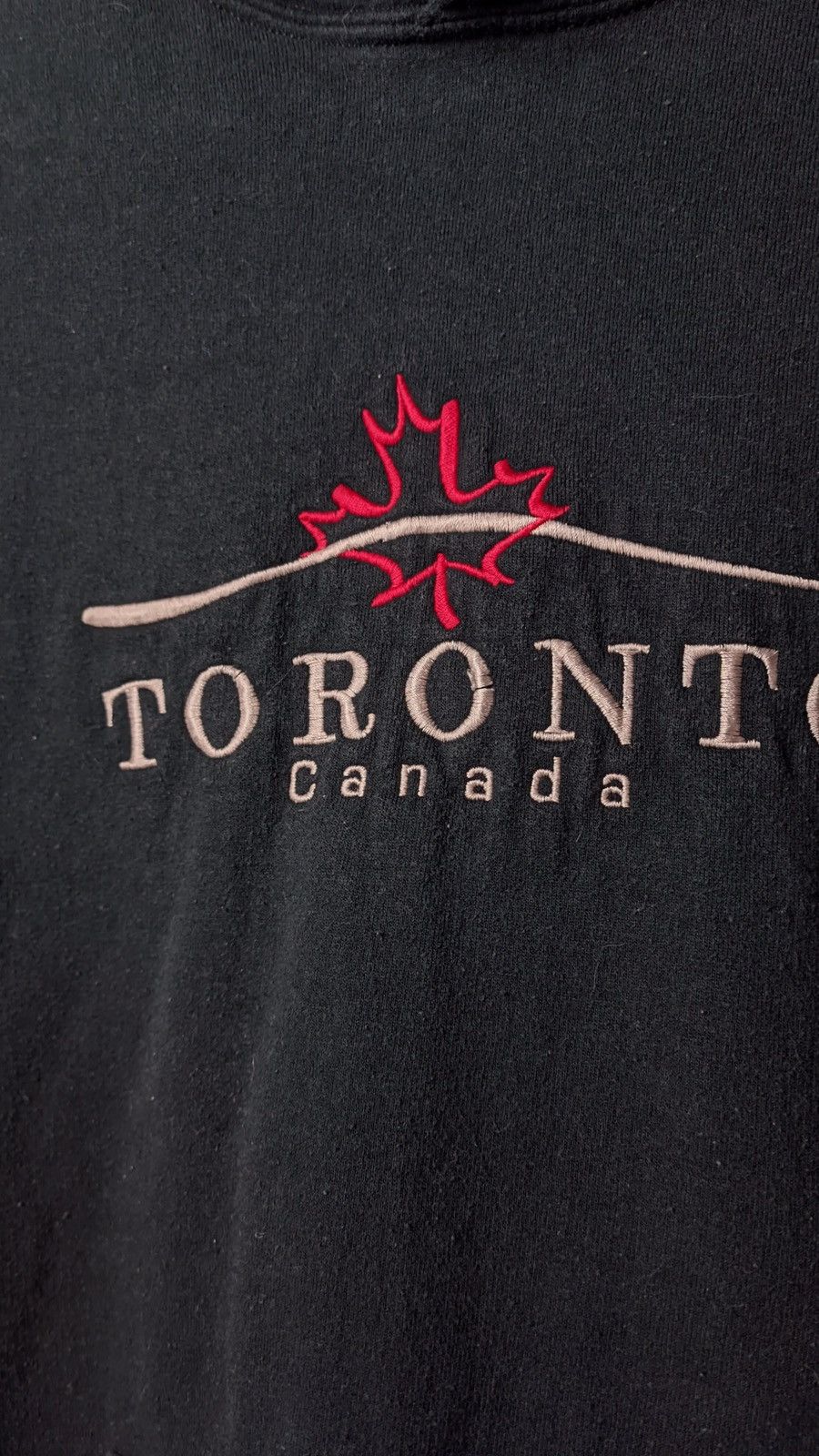 Japanese Brand Gildan Y2K vintage Toronto Canada Big Logo faded hoodie Size US M / EU 48-50 / 2 - 3 Thumbnail
