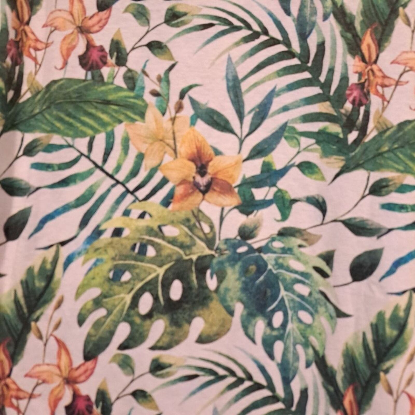 Other YR Young & Reckless Tropical Plants Monstera t-shirt sz XL Size XL / US 12-14 / IT 48-50 - 7 Thumbnail