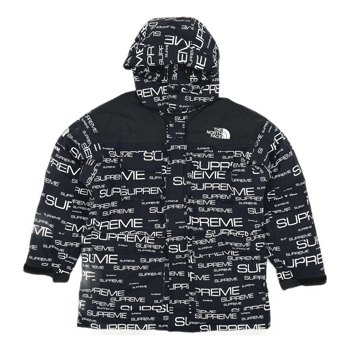 Supreme × The North Face Supreme X The North Face 800 Fill Down 