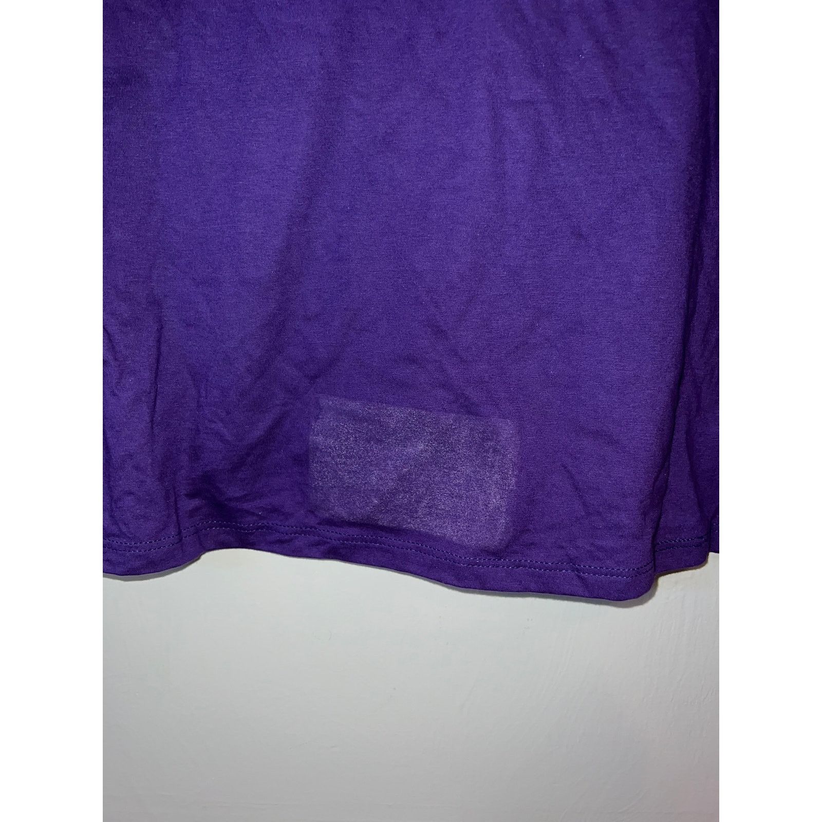 Jerzees Vintage Door County Shirt Purple bear Nature Tee VTG 90s L Size US L / EU 52-54 / 3 - 8 Thumbnail