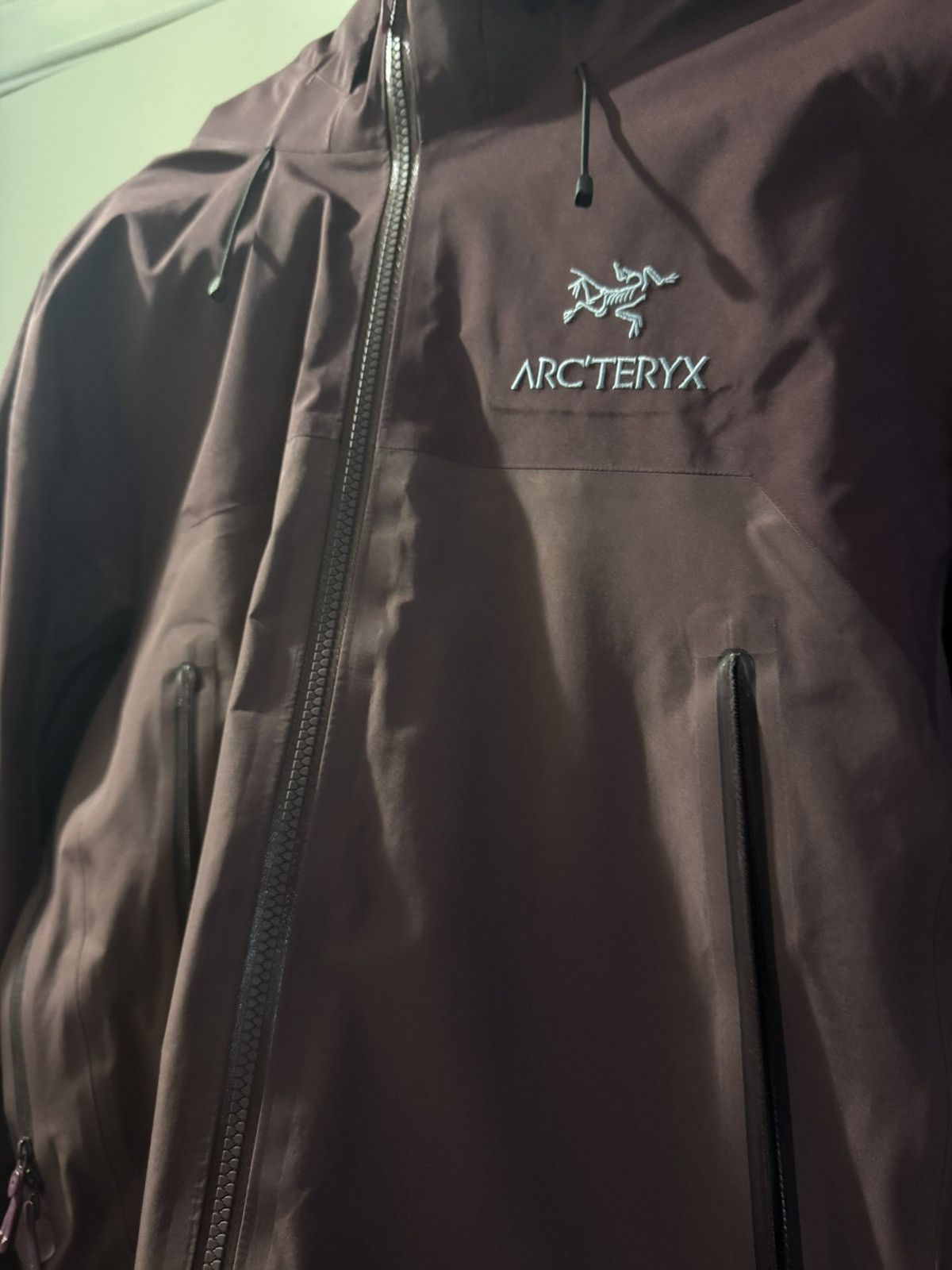 Arc'teryx Beta AR Rhapsody Size US M / EU 48-50 / 2 - 2 Thumbnail