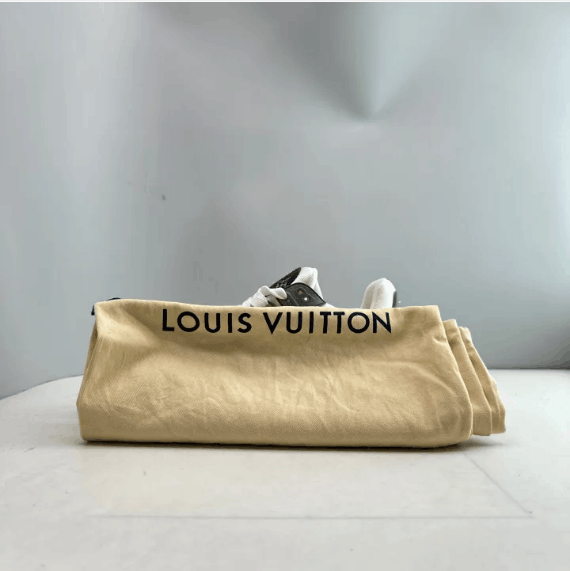 Louis Vuitton Louis Vuitton low-top shoes Size US 9 / EU 42 - 7 Thumbnail