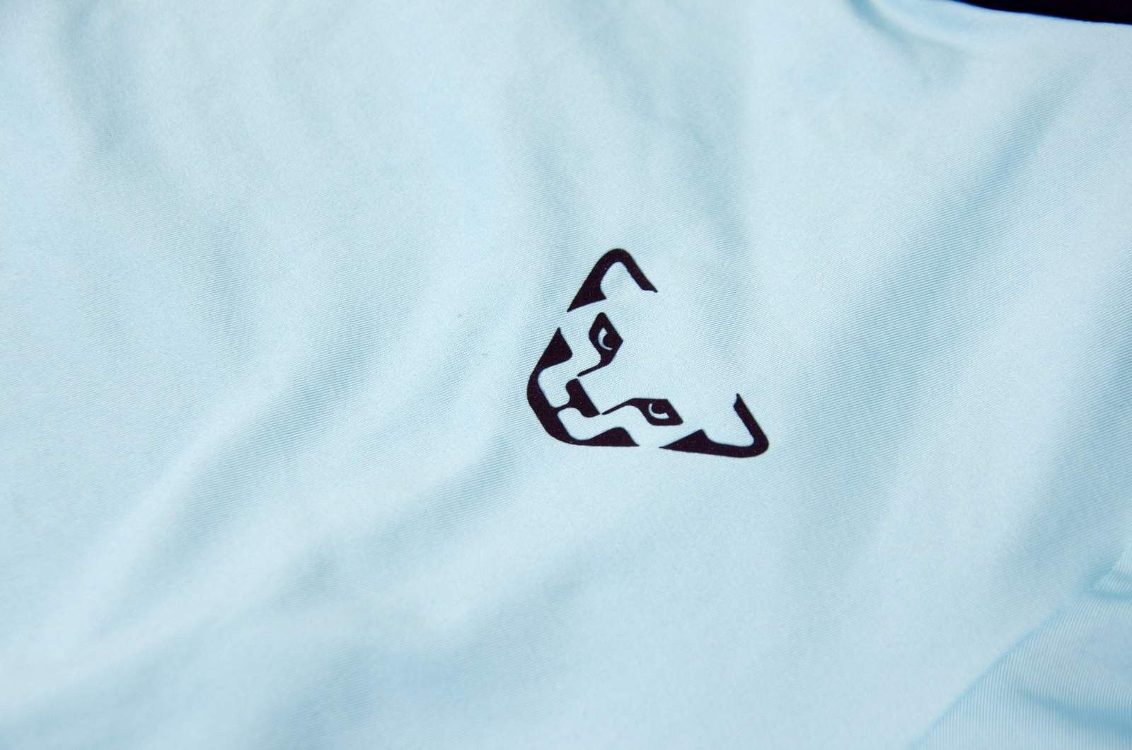 Other Dynafit Alpine Longsleeve Running Tee with Hood Women's Size L / US 10 / IT 46 - 2 Thumbnail