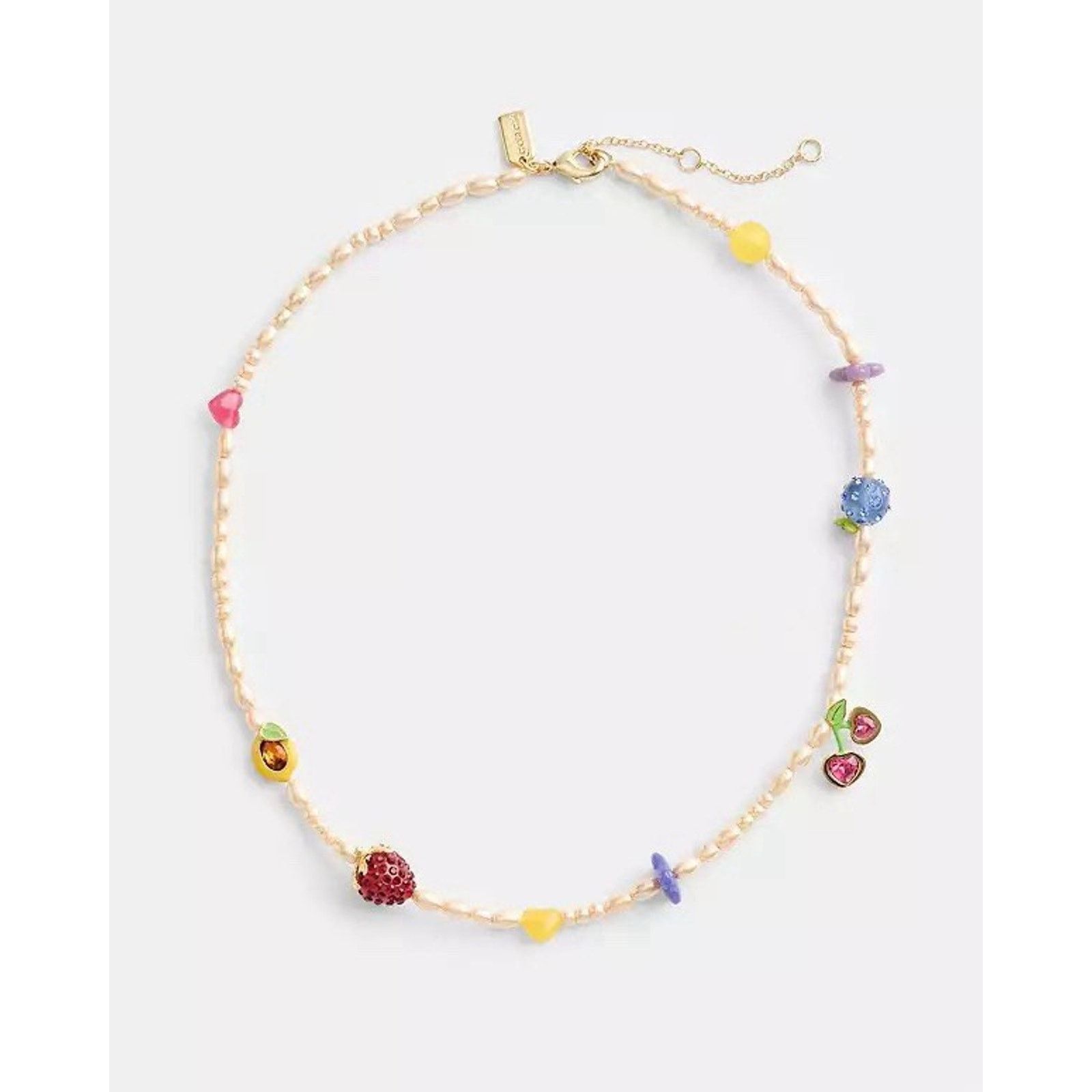 Coach NWT Coach Multicolor Fruit Charm Necklace Gold/Multi CT069 Size ONE SIZE - 2 Thumbnail