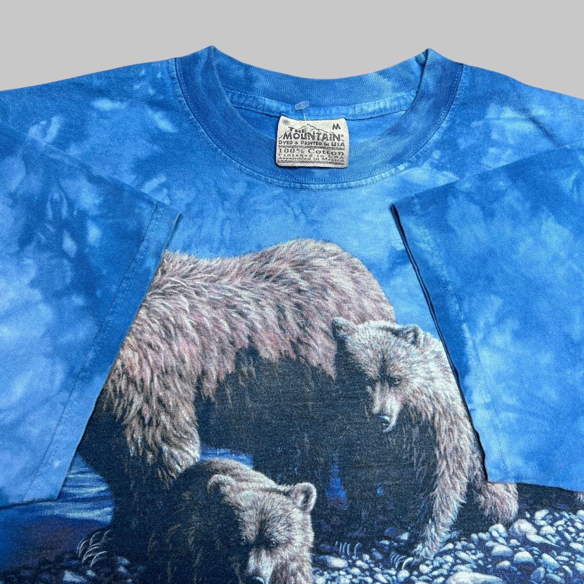 The Mountain × Vintage Vintage 2001 Brown Bears Nature The Mountain Graphic Tee Size US M / EU 48-50 / 2 - 2 Thumbnail