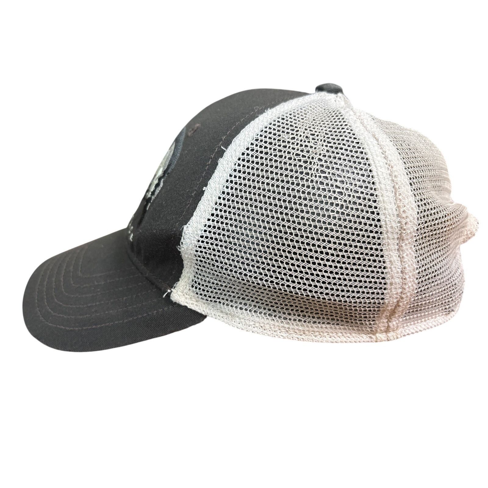 The North Face The North Face Bear Mountains adjustable OSFA embroidered Size ONE SIZE - 2 Thumbnail
