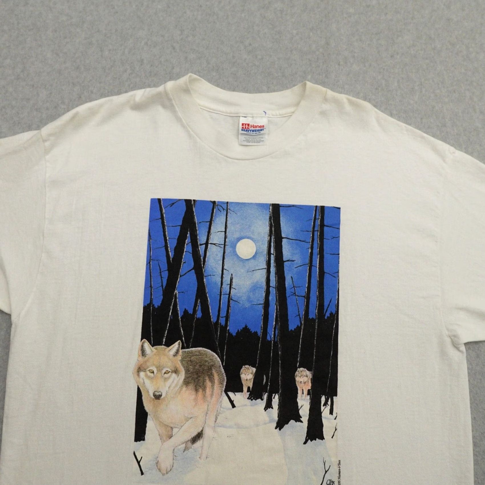 Hanes HANES VTG 90s T-Shirt Adult XL White Size US XL / EU 56 / 4 - 5 Thumbnail